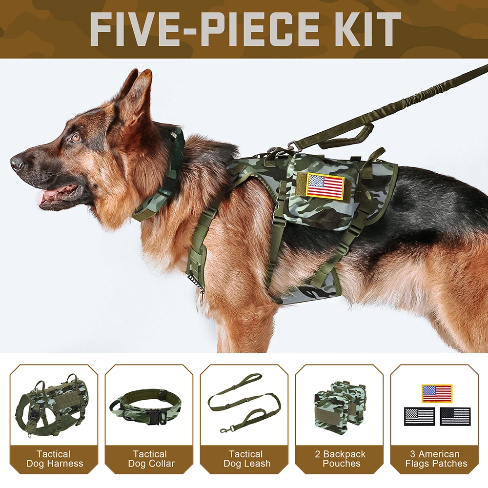 Unleash their inner guardian and conquer the wild together. A heavy-duty, 5-piece military-grade tactical setup built for ultimate control, unwavering trust, and the rugged modern lifestyle.