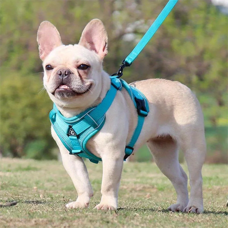 End the Tug-of-War: The Professional 2-in-1 No-Pull Harness for Active Explorers