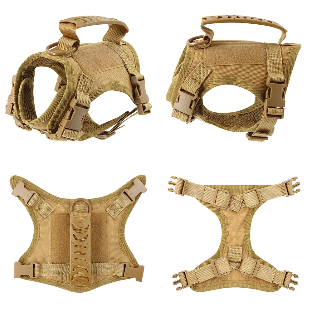 Gear Up for the Bold: Why "Adventure Cats" Need a Tactical Escape-Proof Vest