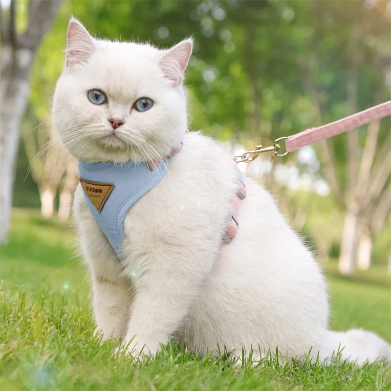 Step outside with absolute confidence and seamless style, knowing your feline adventurer is secure, cool, and comfortably embraced.