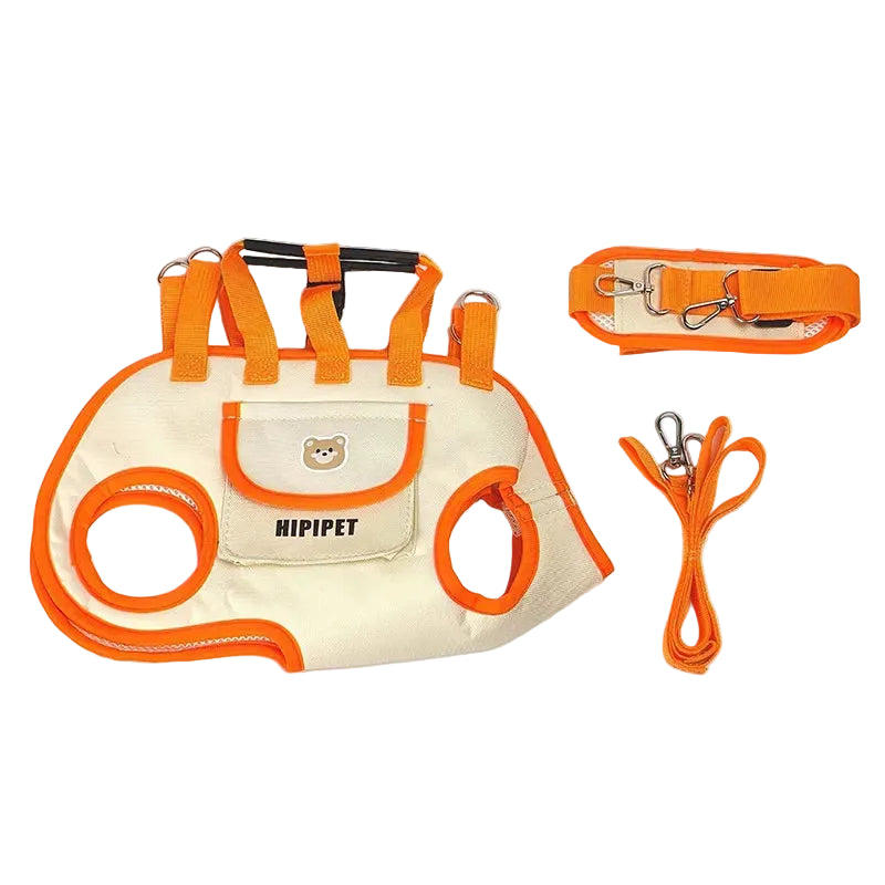 Transform every outing into a mindful journey of comfort and bonding, ensuring your furry companion feels utterly secure wherever life takes you.