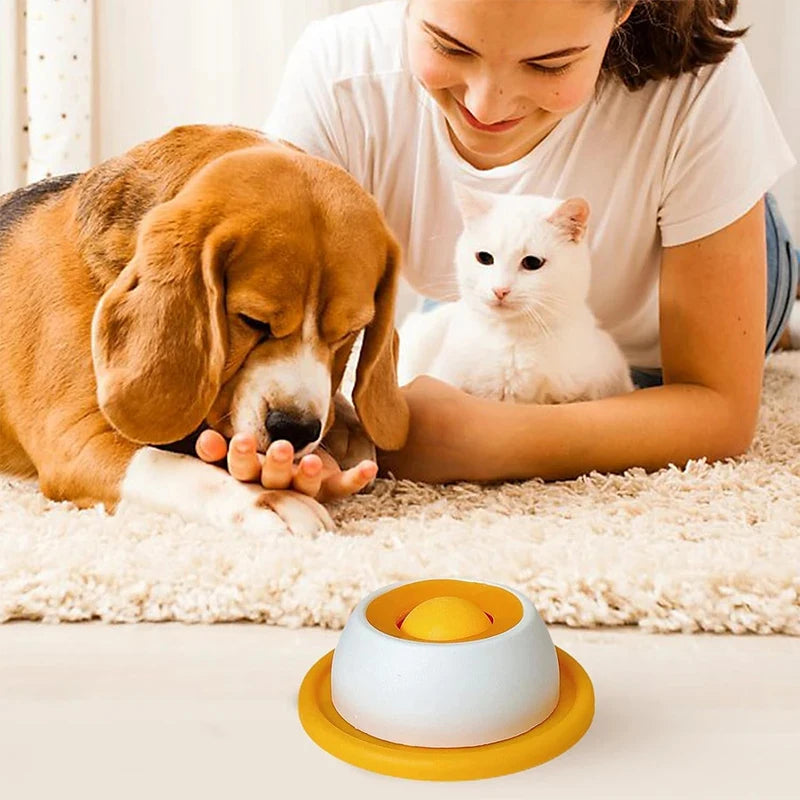 Beyond Feeding: Give Your Pet the "Zen Sanctuary" They Deserve