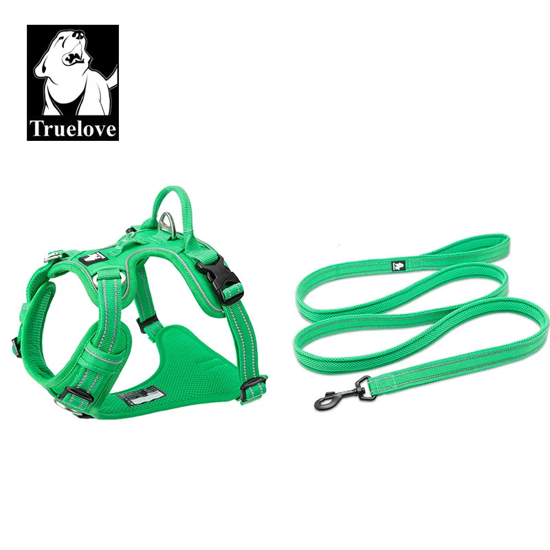Reclaim the joy of your daily walks. A mindful, no-pull harness designed for ultimate comfort, unwavering safety, and a deeper connection with your dog.