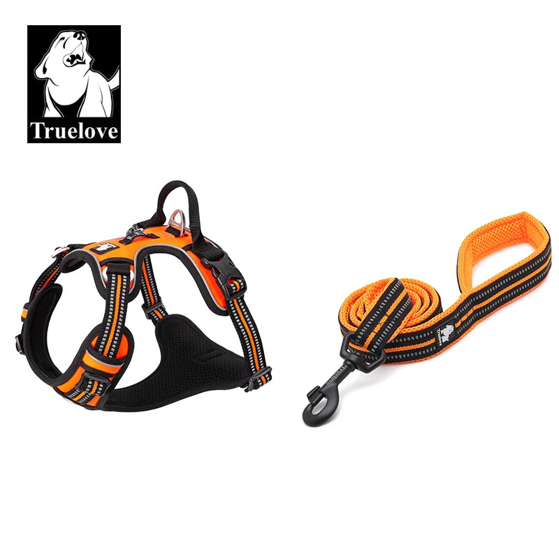 Reclaim the joy of your daily walks. A mindful, no-pull harness designed for ultimate comfort, unwavering safety, and a deeper connection with your dog.