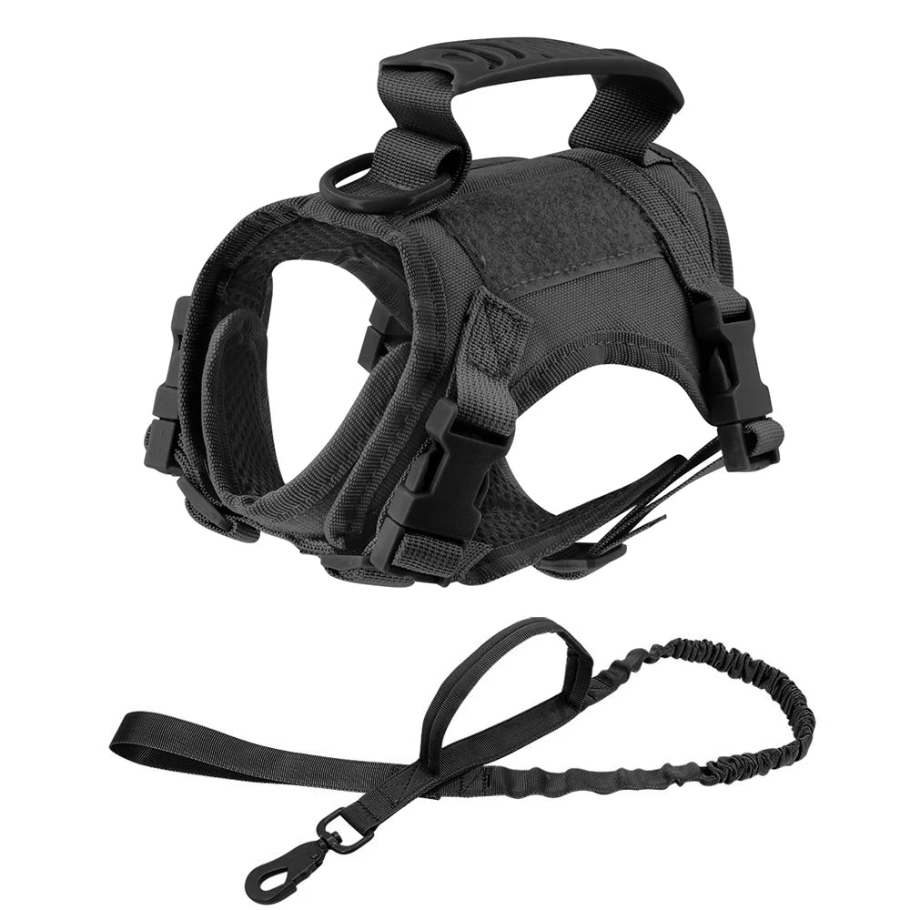 Gear Up for the Bold: Why "Adventure Cats" Need a Tactical Escape-Proof Vest