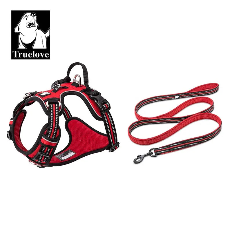 Reclaim the joy of your daily walks. A mindful, no-pull harness designed for ultimate comfort, unwavering safety, and a deeper connection with your dog.