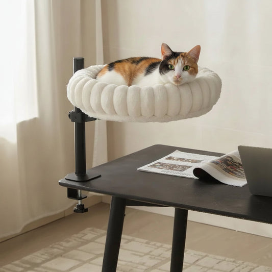 Promoted to Co-Worker: Elevate Your Feline Friend Without Cluttering Your Workflow