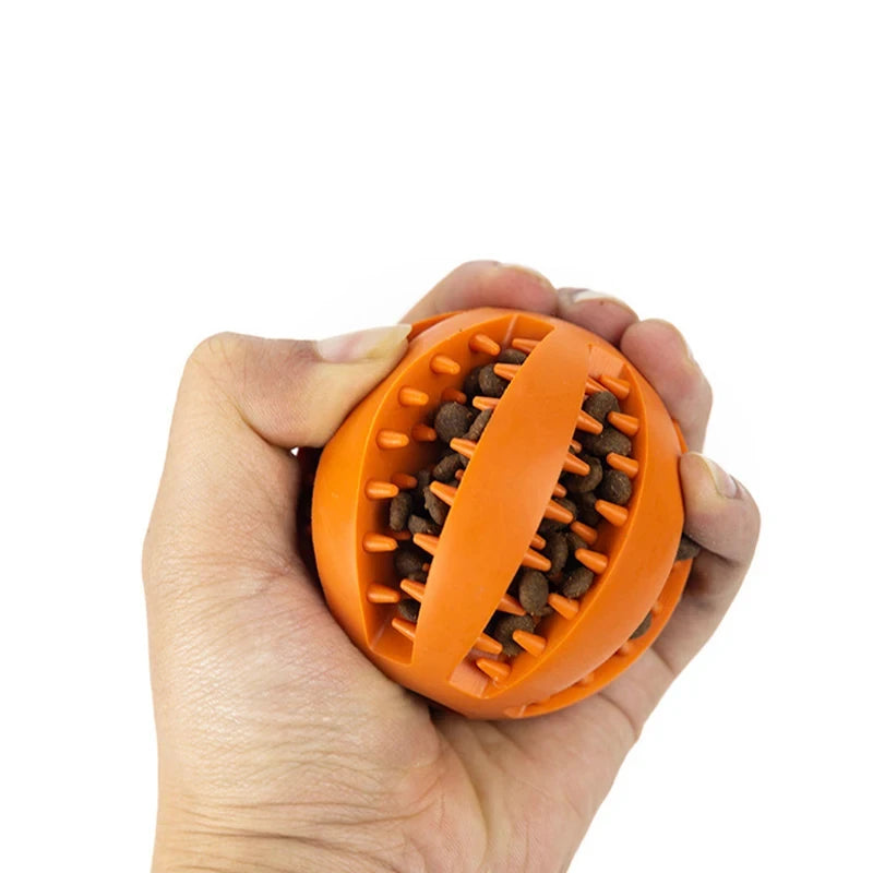 Bonding Through Play: Why Your Smart Pup Deserves More Than Just a Basic Chew