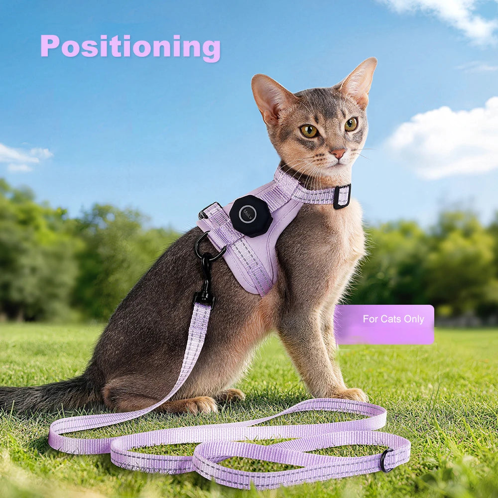 Empower your feline's natural curiosity with unwavering dual-layer safety, ensuring every outdoor exploration feels entirely secure and featherlight.