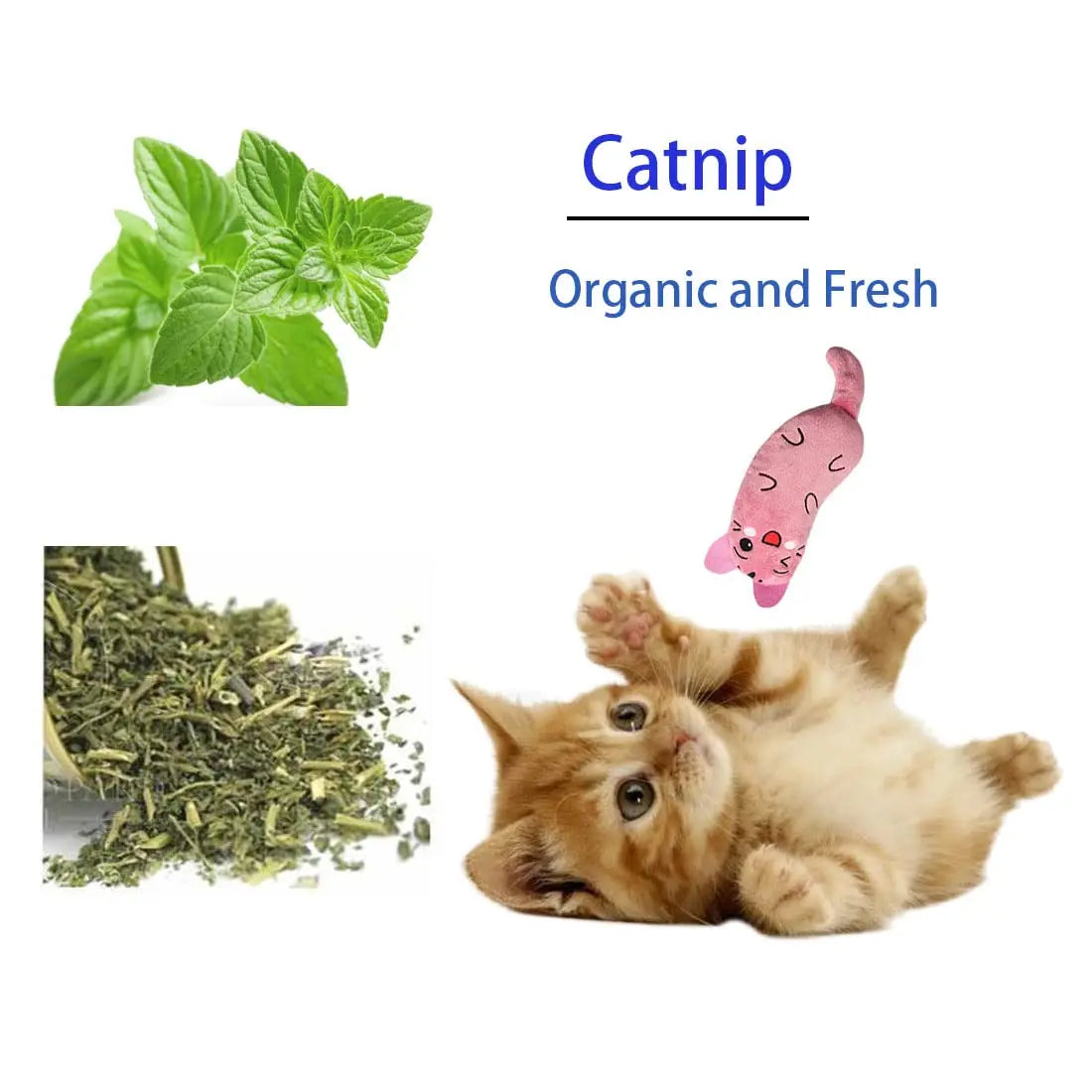 Awaken your cat’s primal joy with a burst of pure, organic nature—sealed for maximum freshness to turn everyday playtime into a mindful bonding ritual.