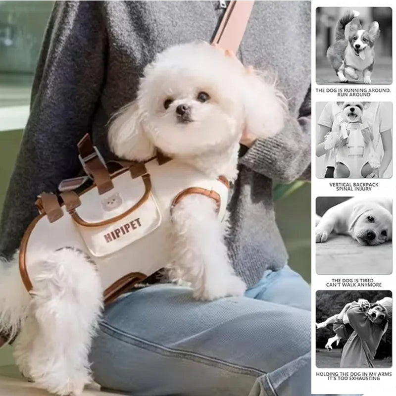 Transform every outing into a mindful journey of comfort and bonding, ensuring your furry companion feels utterly secure wherever life takes you.