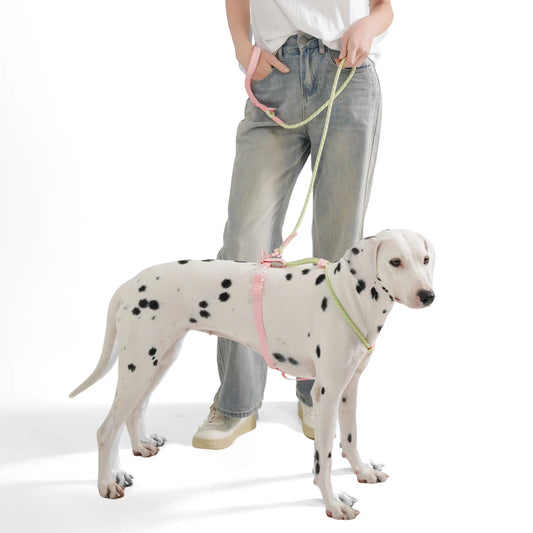 Transform hot, frantic summer walks into a cool, synchronized fashion runway—shielding your pup with featherlight breathability and unshakeable nighttime safety.