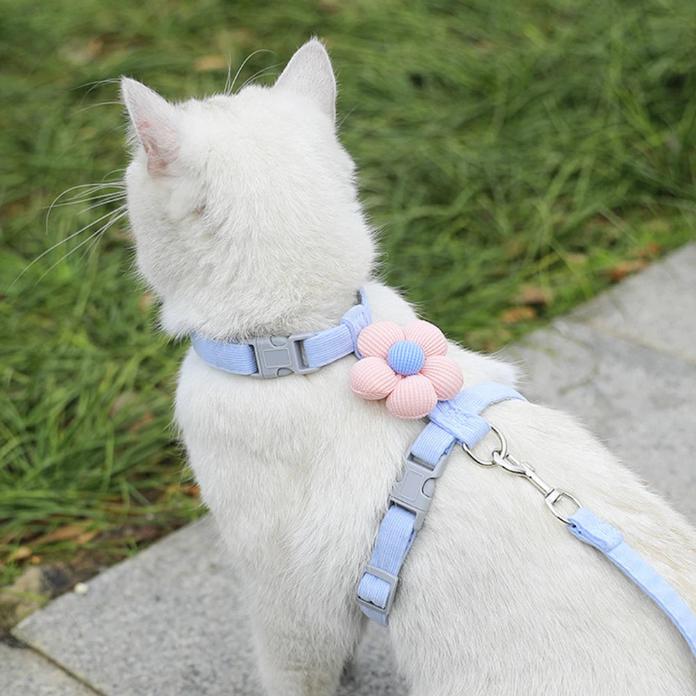 Where uncompromising safety meets irresistible charm. An ultra-lightweight, "escape-proof" sanctuary that transforms your tiny best friend into the star of every outdoor adventure.