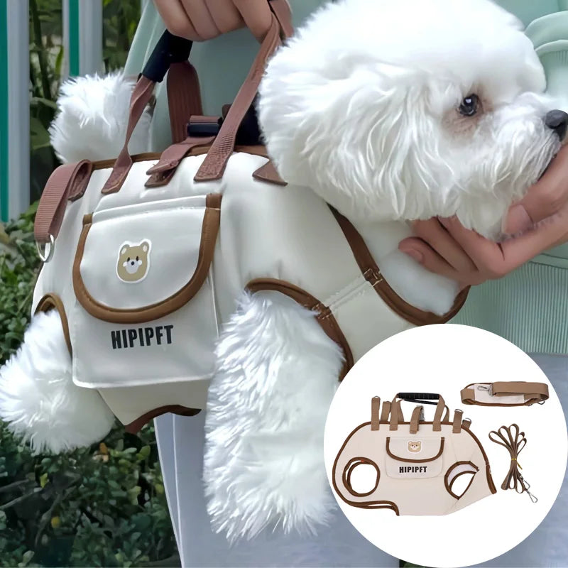 Transform every outing into a mindful journey of comfort and bonding, ensuring your furry companion feels utterly secure wherever life takes you.