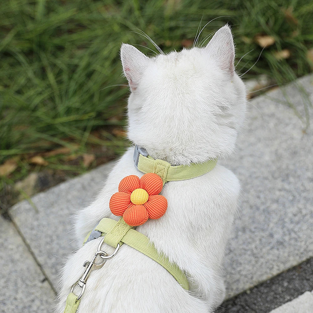 Where uncompromising safety meets irresistible charm. An ultra-lightweight, "escape-proof" sanctuary that transforms your tiny best friend into the star of every outdoor adventure.