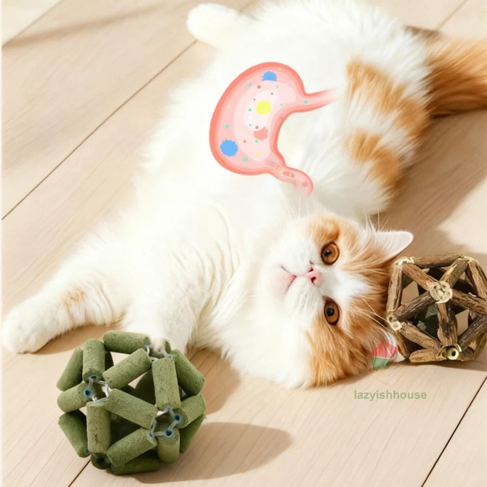 Awaken your cat’s natural vitality with a purely organic, handcrafted chew that transforms dental care into a mindful moment of holistic joy.