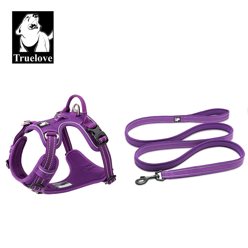 Reclaim the joy of your daily walks. A mindful, no-pull harness designed for ultimate comfort, unwavering safety, and a deeper connection with your dog.