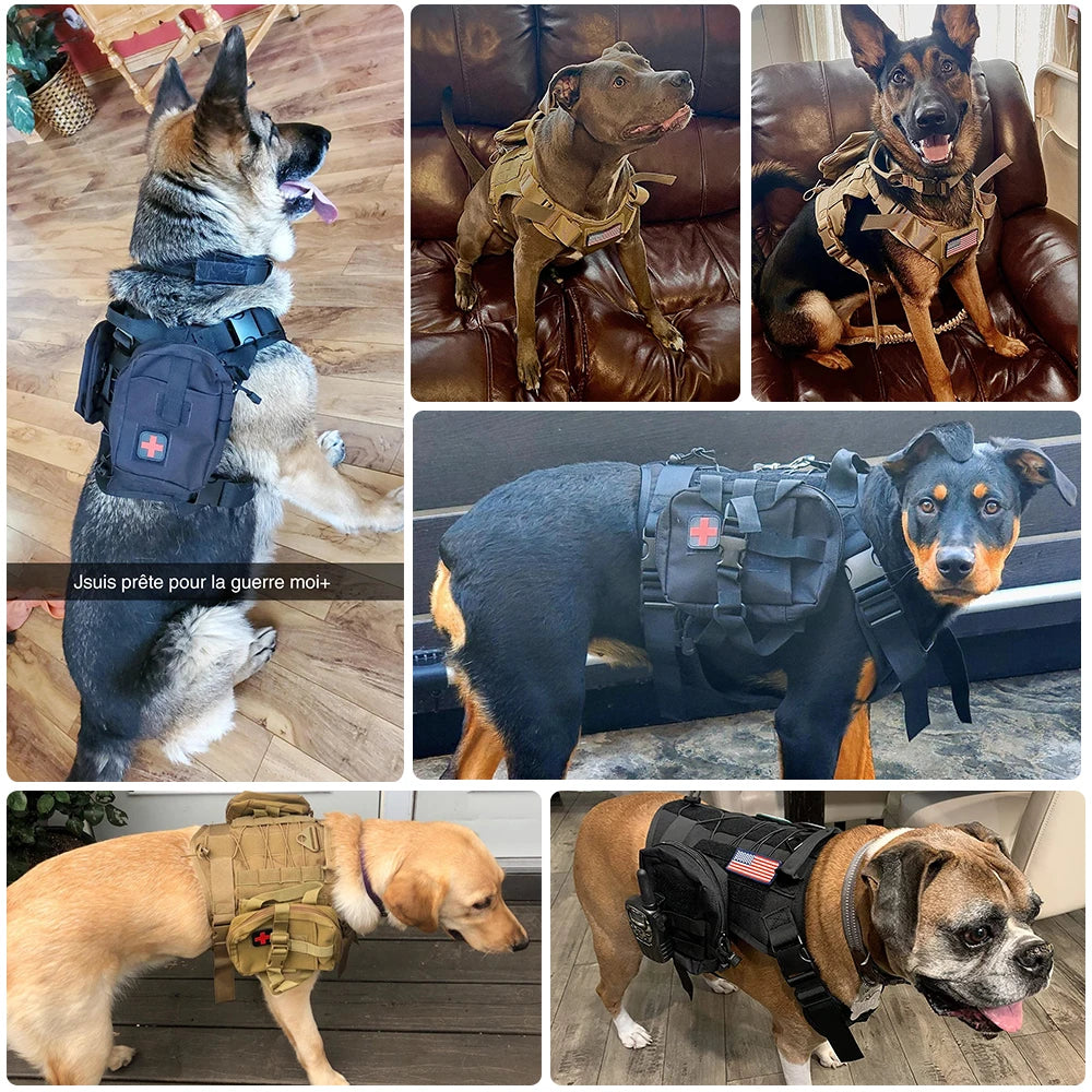 `Military Dog Harness & Training Vest