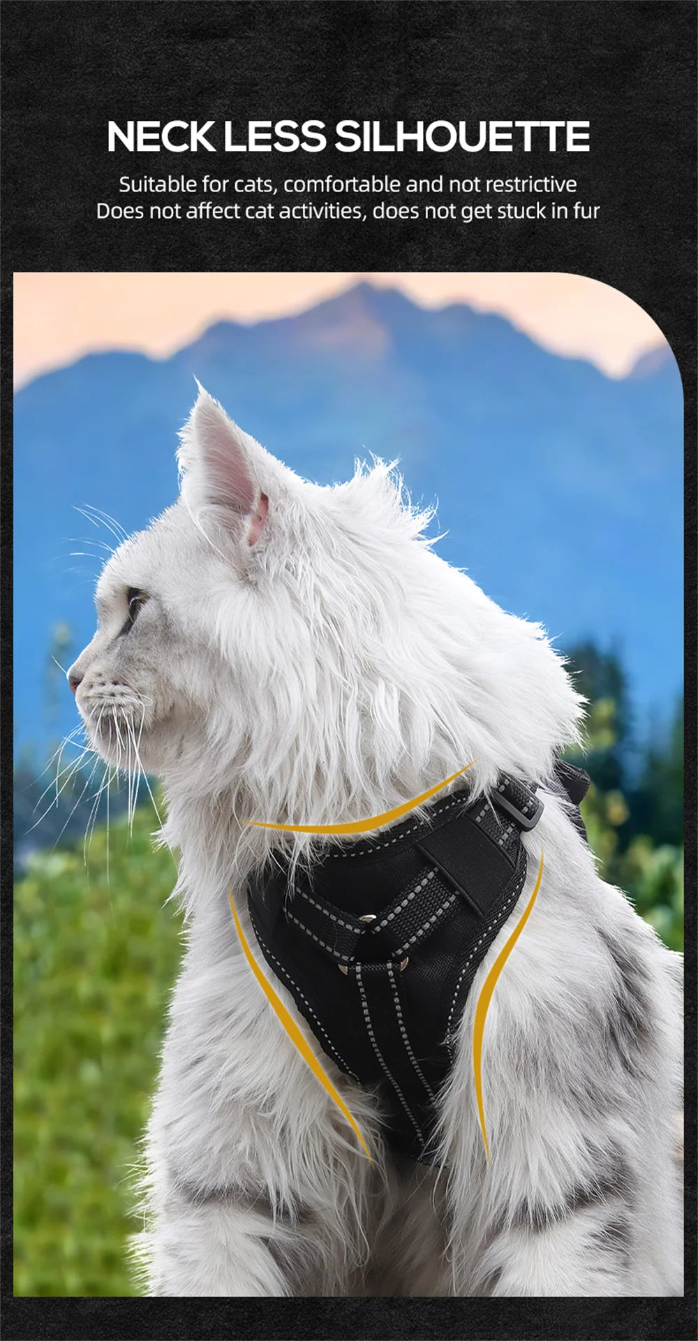 The Tactical Explorer: Why Your Adventure Cat Needs a "Neck-Less" Military-Grade Vest
