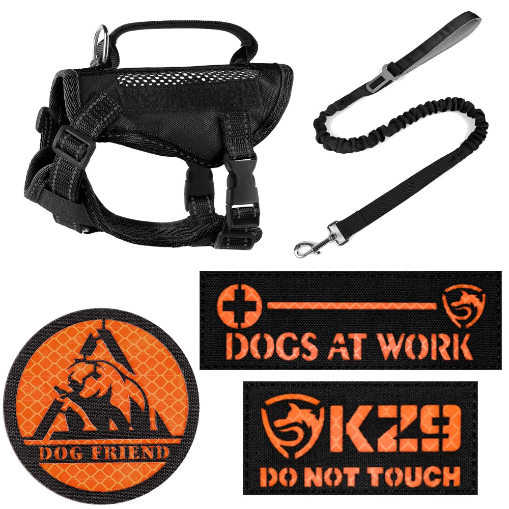 The Tactical Explorer: Why Your Adventure Cat Needs a "Neck-Less" Military-Grade Vest