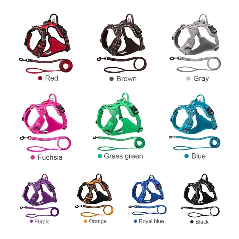 Reclaim the joy of your daily walks. A mindful, no-pull harness designed for ultimate comfort, unwavering safety, and a deeper connection with your dog.