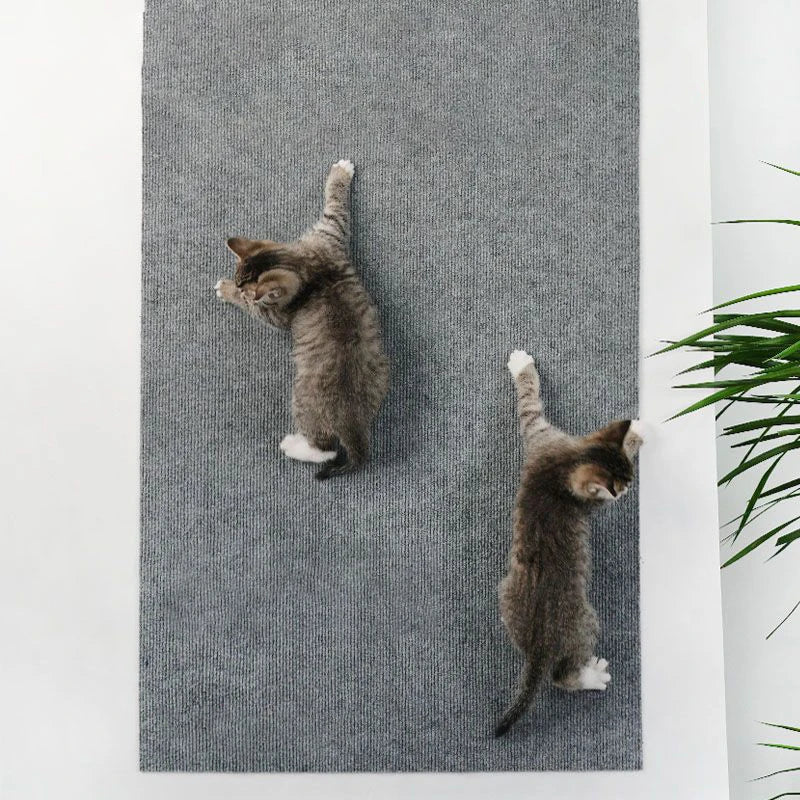 End the constant warfare between your cat’s primal scratching instincts and your designer home—transforming any vulnerable surface into a sleek, indestructible sanctuary.