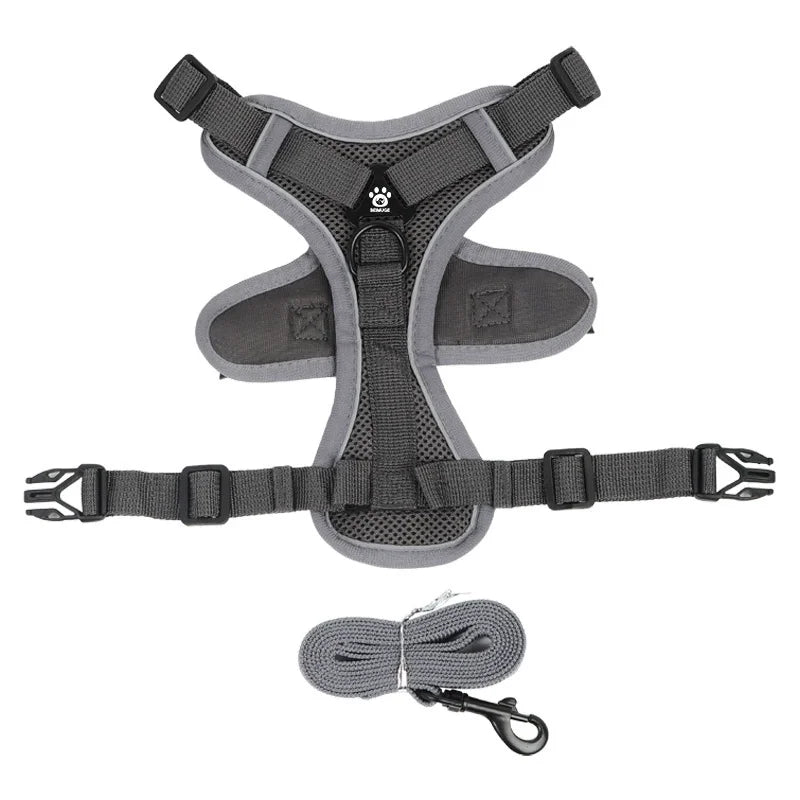 End the Tug-of-War: The Professional 2-in-1 No-Pull Harness for Active Explorers