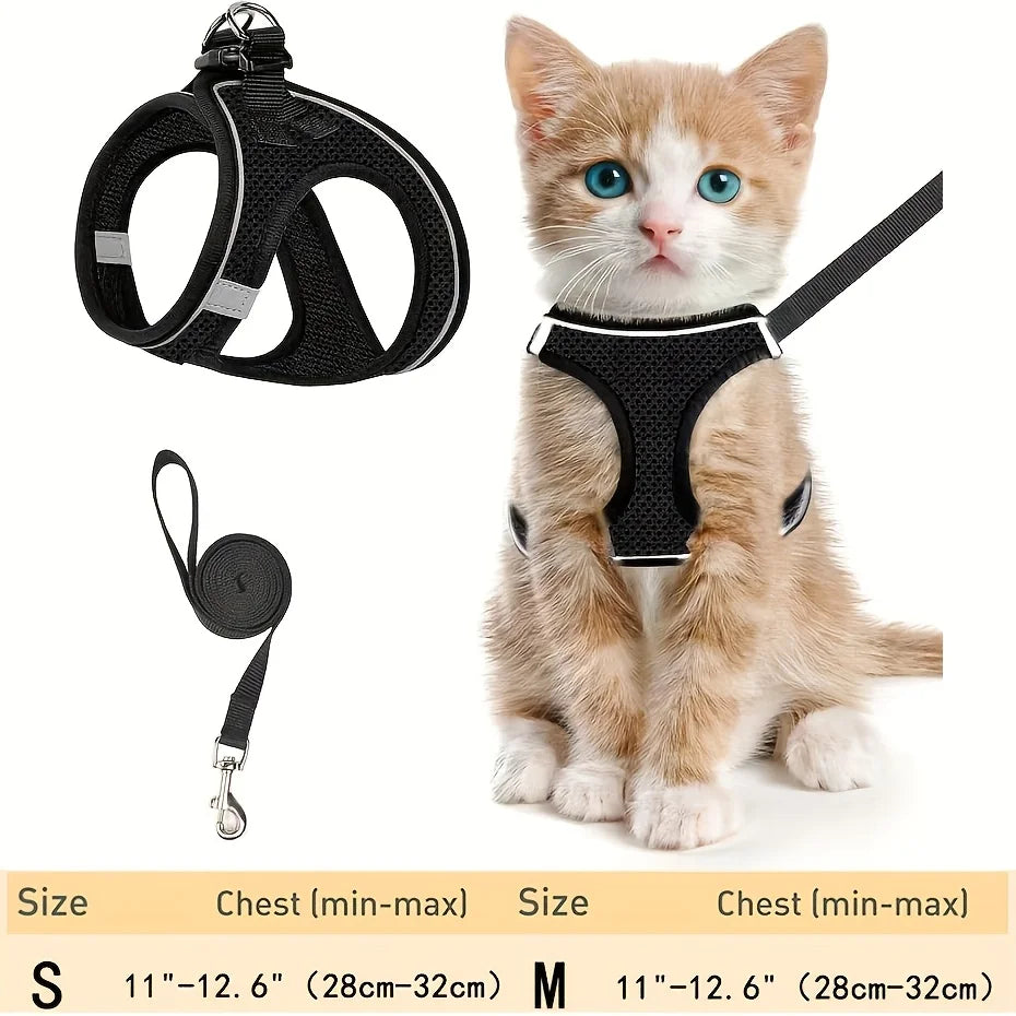 Curiosity Without the Fear: The Houdini-Proof Harness for Your Kitten’s First Great Adventure