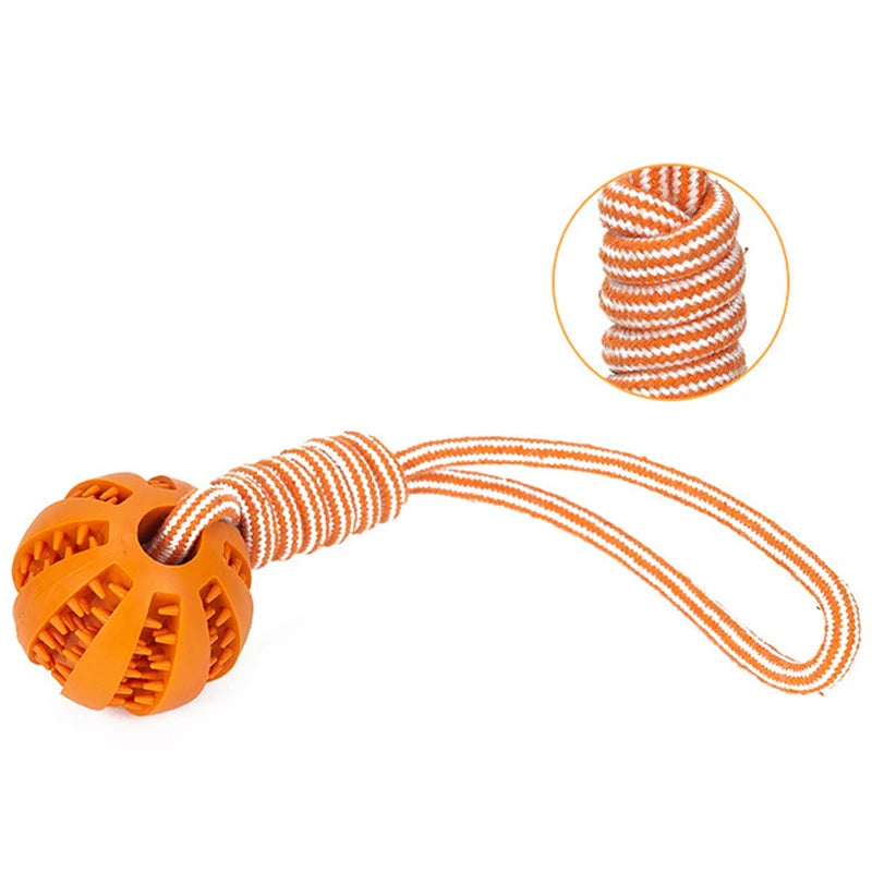 Bonding Through Play: Why Your Smart Pup Deserves More Than Just a Basic Chew