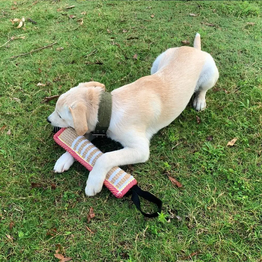 Interactive Dog & Cat Chew Toy - Bite-Resistant Tug Pillow with Rope Handles