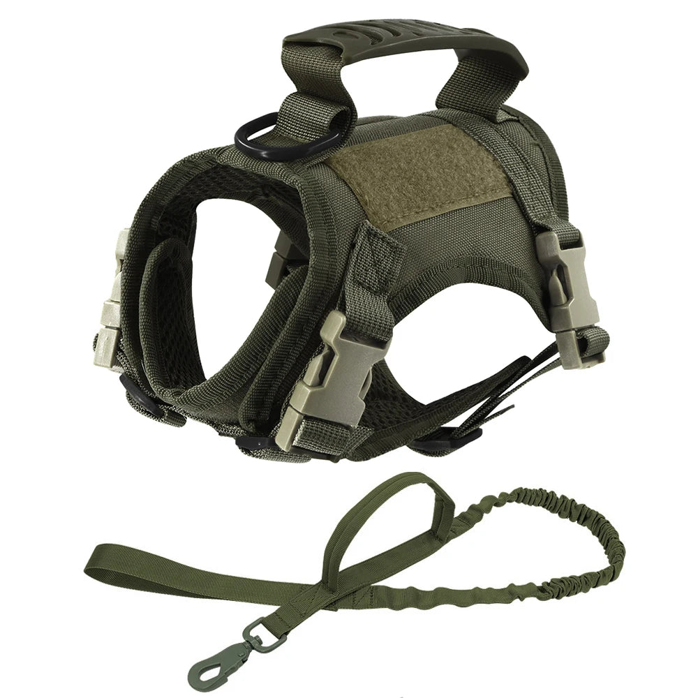 Gear Up for the Bold: Why "Adventure Cats" Need a Tactical Escape-Proof Vest