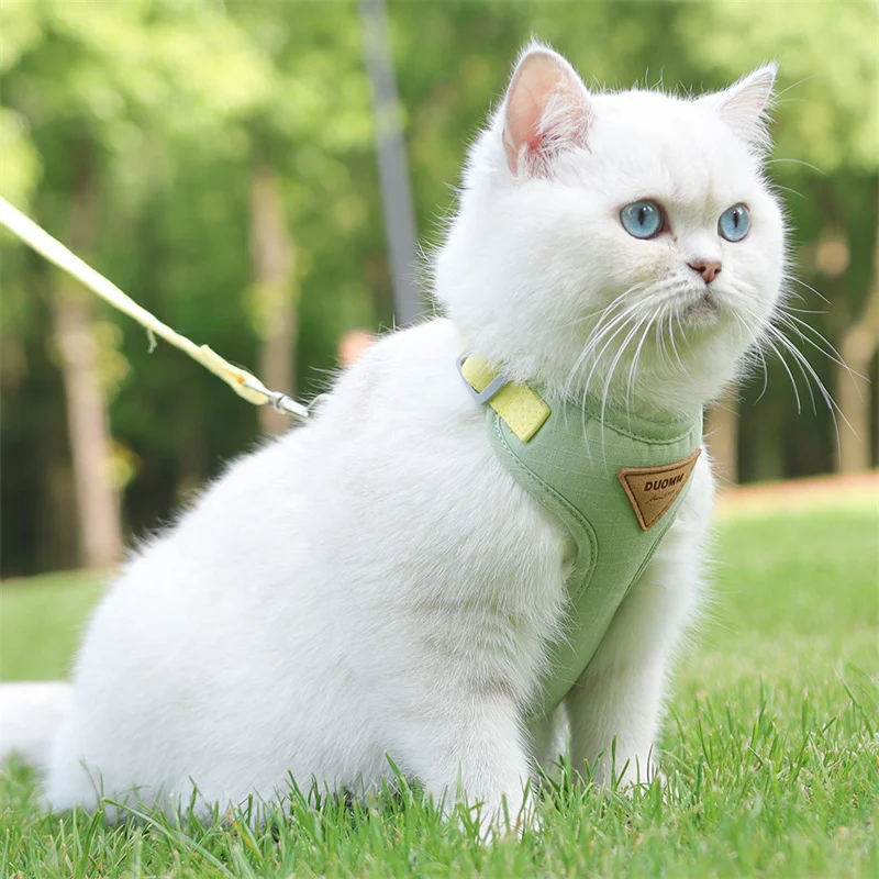 Step outside with absolute confidence and seamless style, knowing your feline adventurer is secure, cool, and comfortably embraced.
