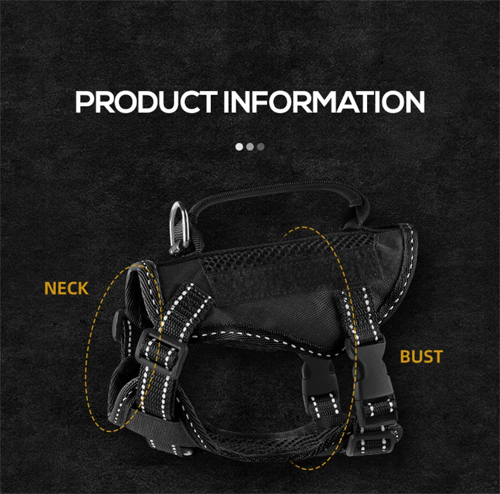 The Tactical Explorer: Why Your Adventure Cat Needs a "Neck-Less" Military-Grade Vest