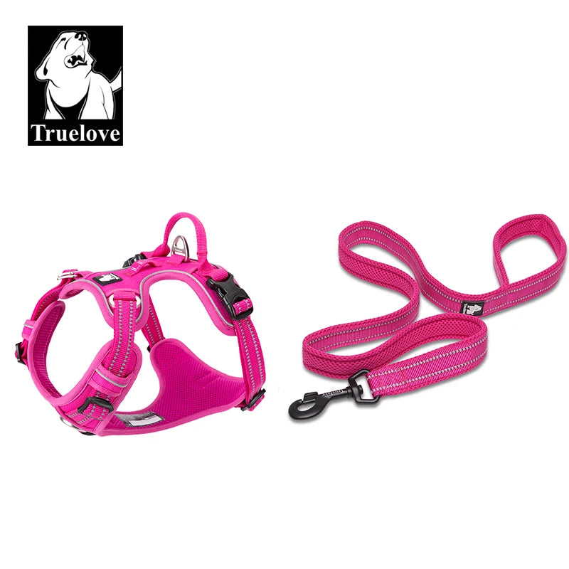 Reclaim the joy of your daily walks. A mindful, no-pull harness designed for ultimate comfort, unwavering safety, and a deeper connection with your dog.