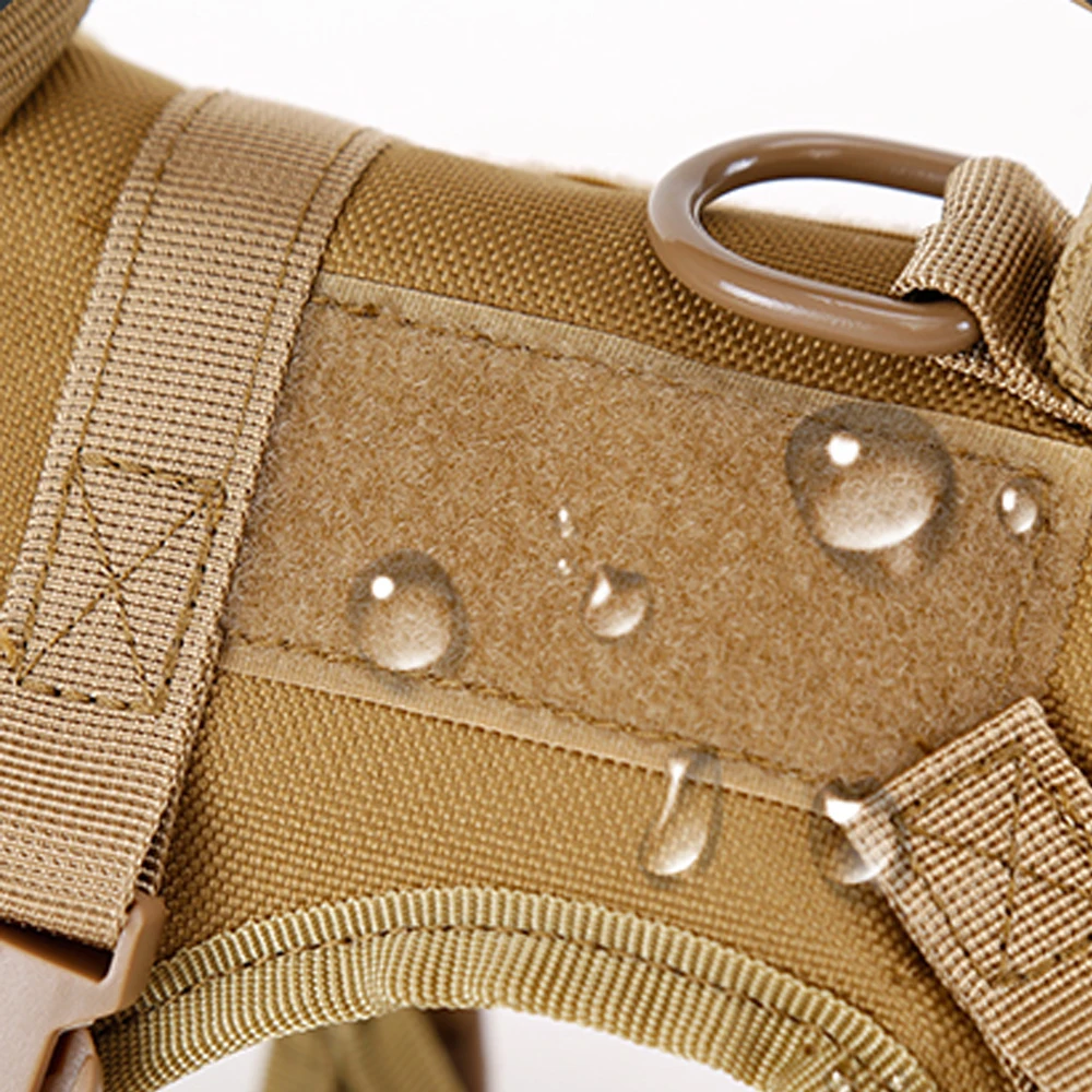 Gear Up for the Bold: Why "Adventure Cats" Need a Tactical Escape-Proof Vest