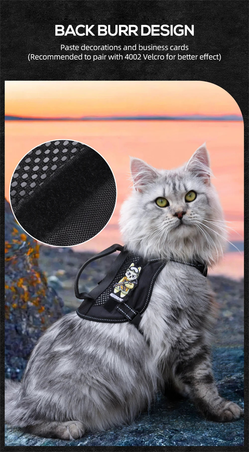 The Tactical Explorer: Why Your Adventure Cat Needs a "Neck-Less" Military-Grade Vest