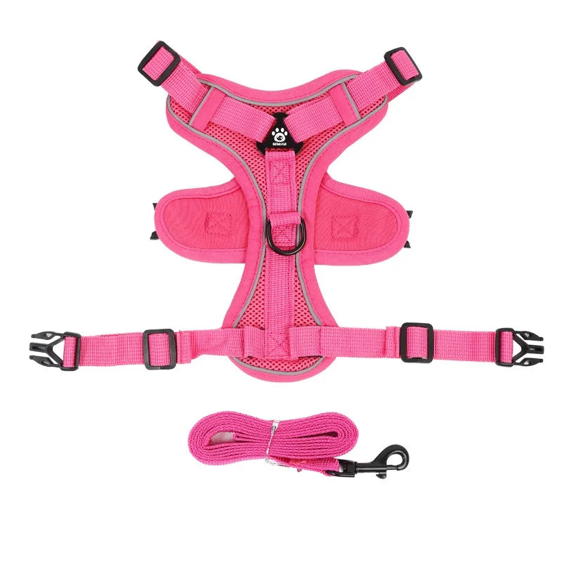 End the Tug-of-War: The Professional 2-in-1 No-Pull Harness for Active Explorers