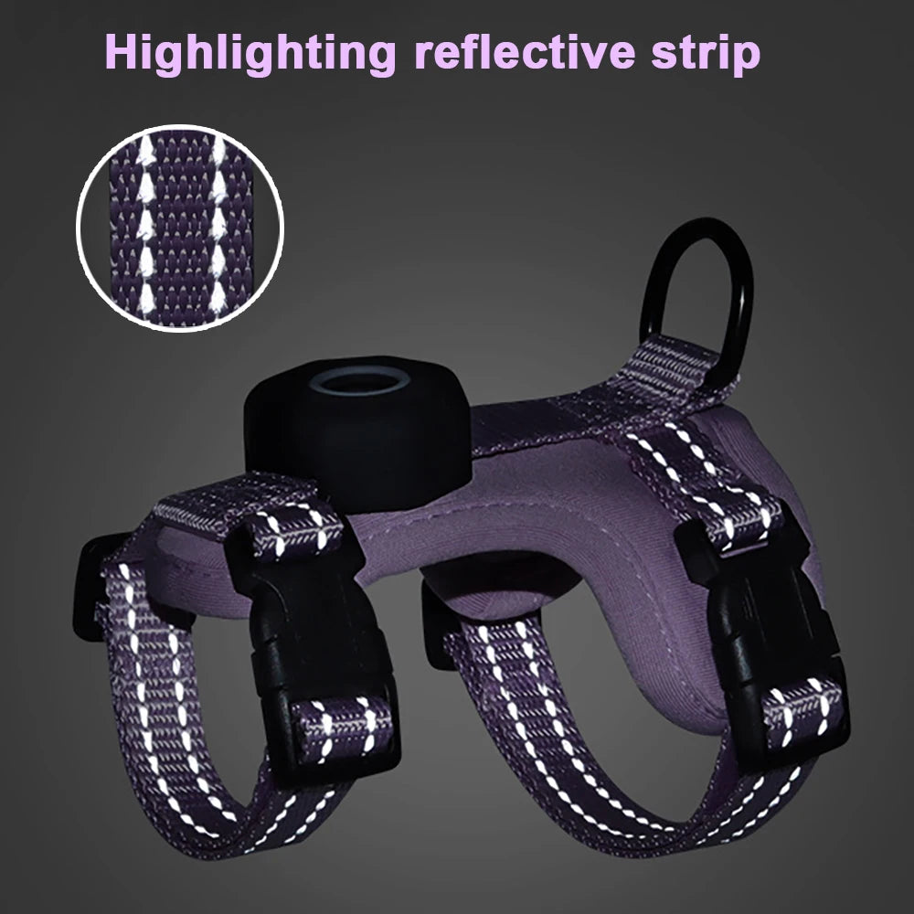 Empower your feline's natural curiosity with unwavering dual-layer safety, ensuring every outdoor exploration feels entirely secure and featherlight.