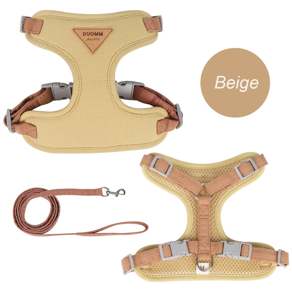 Step outside with absolute confidence and seamless style, knowing your feline adventurer is secure, cool, and comfortably embraced.
