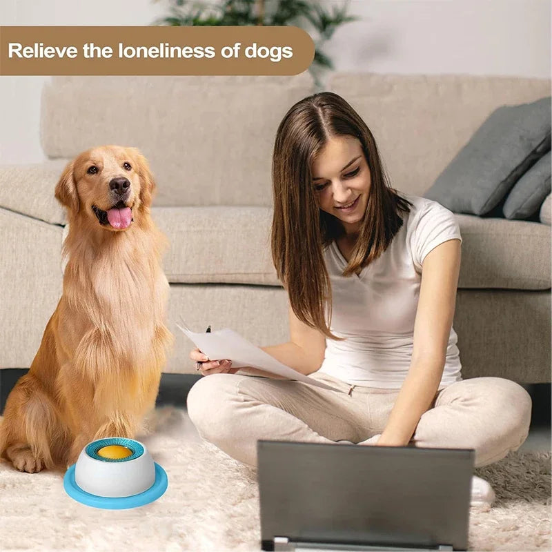 Beyond Feeding: Give Your Pet the "Zen Sanctuary" They Deserve