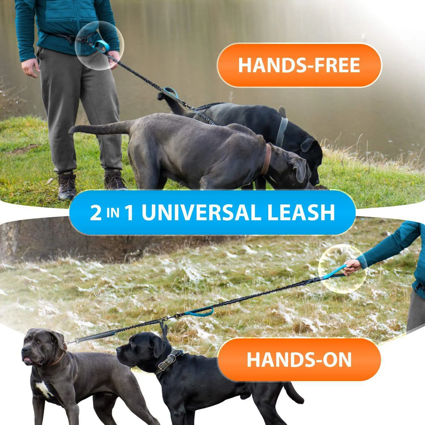 Liberate your hands and reclaim the joy of walking your pack. An all-terrain, shock-absorbing dual leash that balances mismatched energies and gives you instant close-range control over hyperactive pullers.