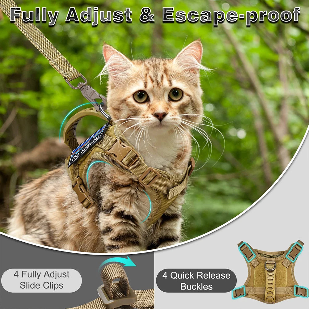 Gear Up for the Bold: Why "Adventure Cats" Need a Tactical Escape-Proof Vest