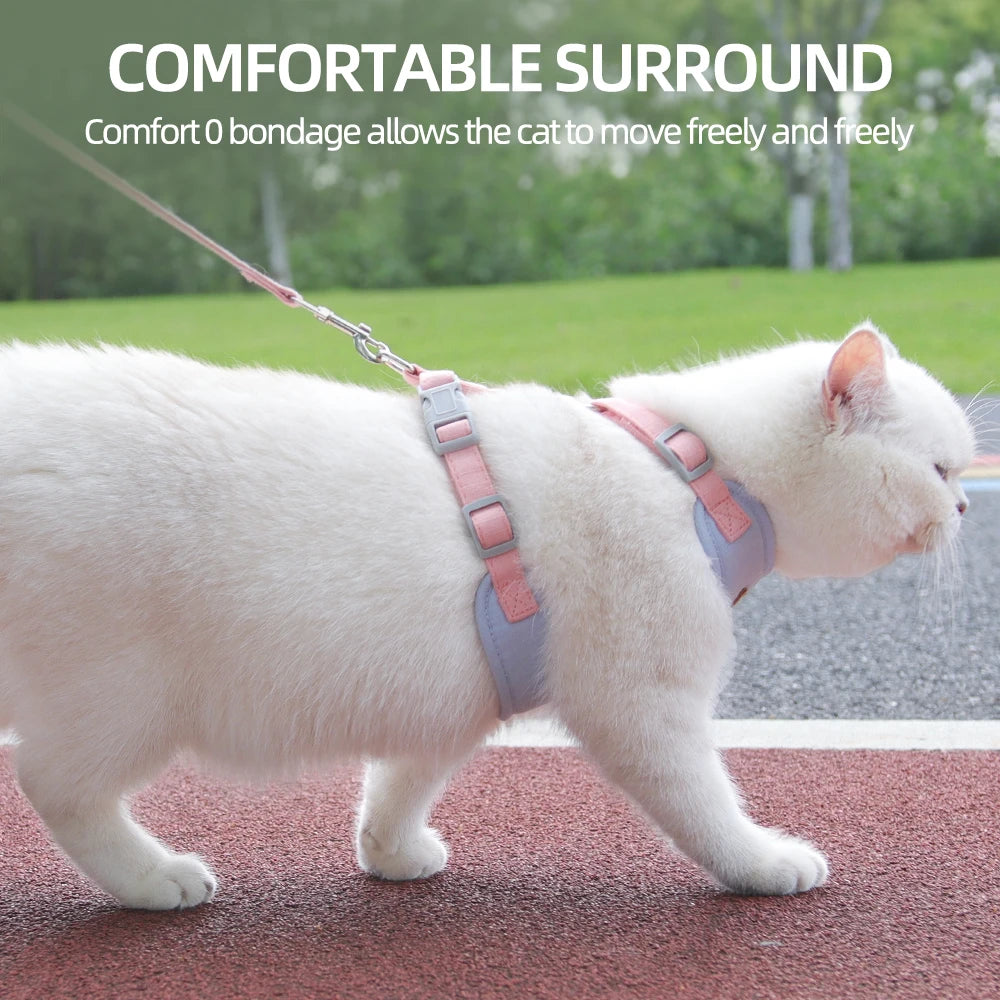 Step outside with absolute confidence and seamless style, knowing your feline adventurer is secure, cool, and comfortably embraced.