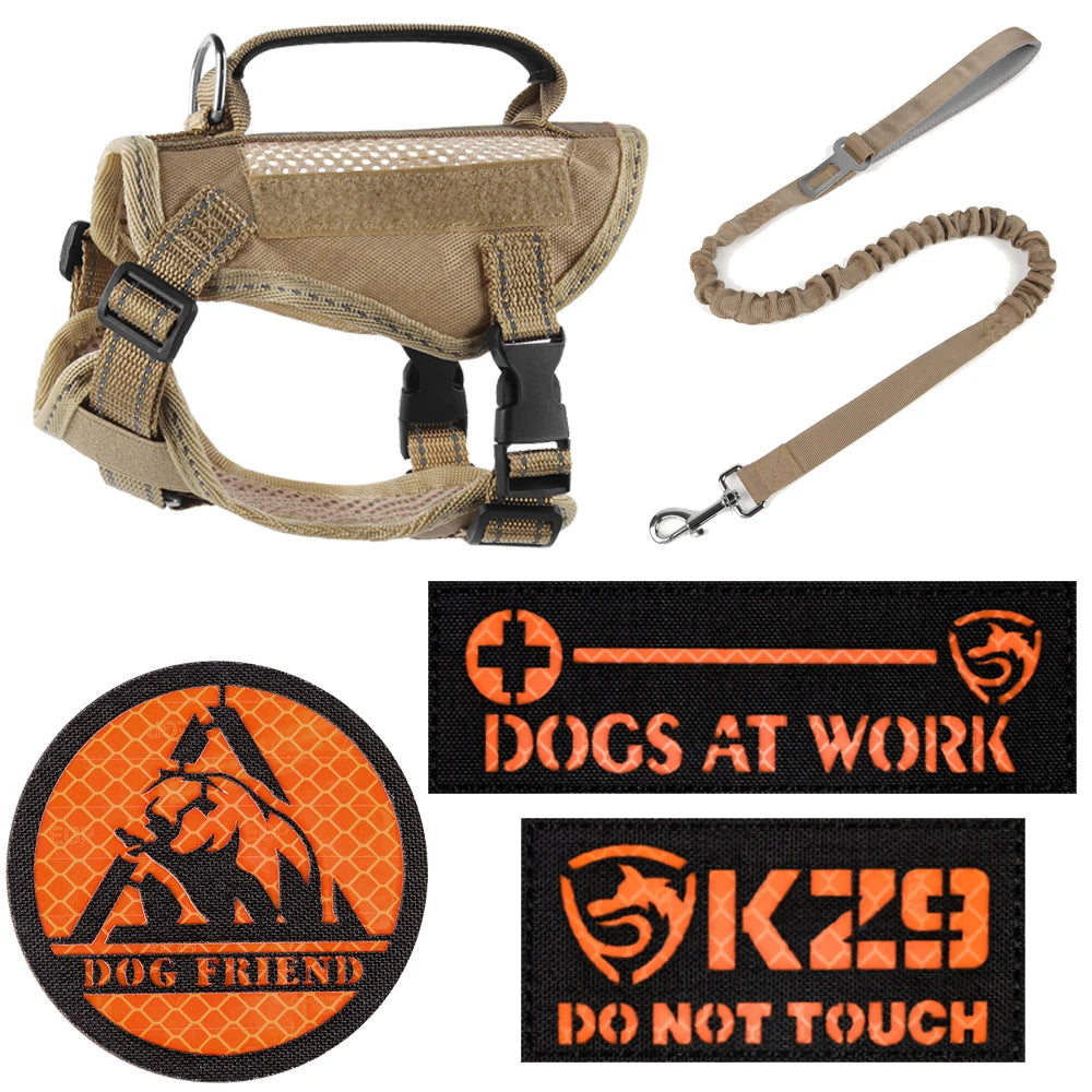 The Tactical Explorer: Why Your Adventure Cat Needs a "Neck-Less" Military-Grade Vest