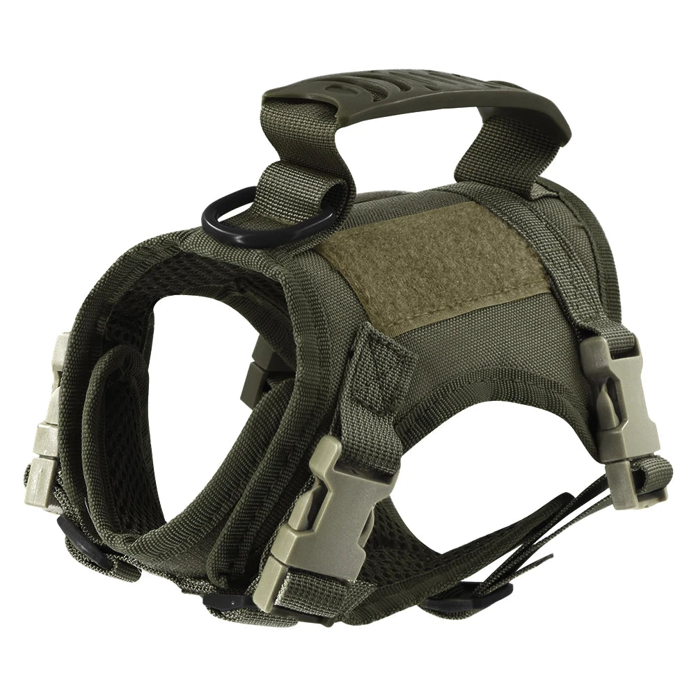 Gear Up for the Bold: Why "Adventure Cats" Need a Tactical Escape-Proof Vest