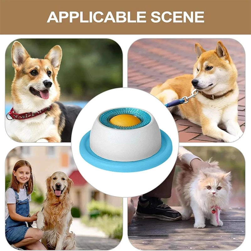 Beyond Feeding: Give Your Pet the "Zen Sanctuary" They Deserve