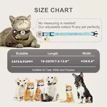 Double the Security, Zero Monthly Fees: The Ultimate Smart Lifeline for Your Adventurous Cat