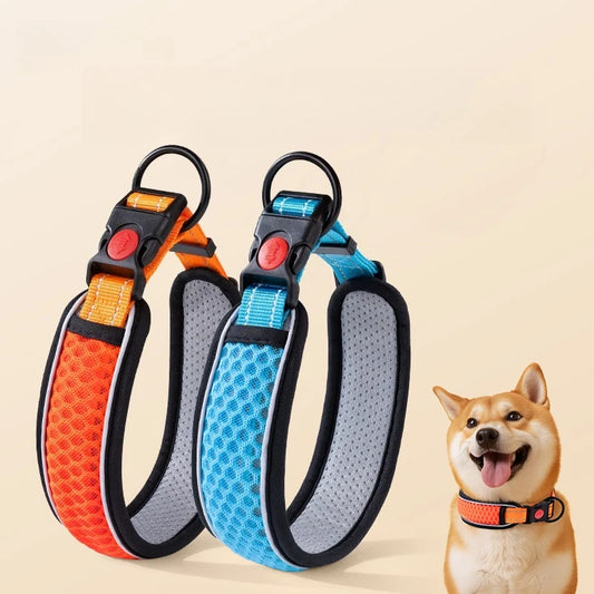 Dog Collar & Walking Leash Set - Pet Neck Collar and Chain