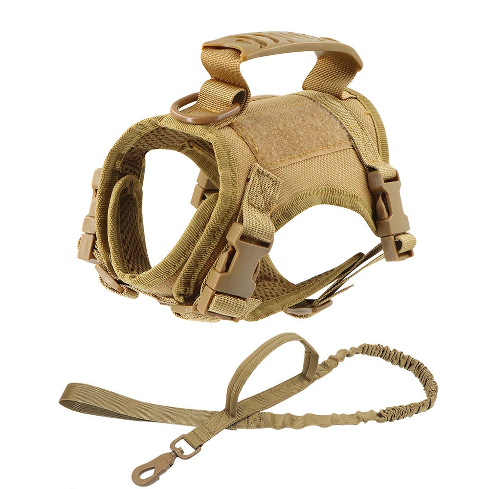 Gear Up for the Bold: Why "Adventure Cats" Need a Tactical Escape-Proof Vest