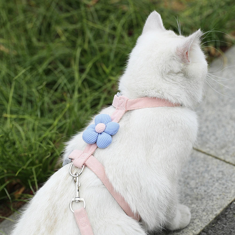 Where uncompromising safety meets irresistible charm. An ultra-lightweight, "escape-proof" sanctuary that transforms your tiny best friend into the star of every outdoor adventure.